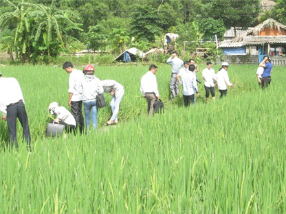 Gắn dạy nghề cho lao động nông thôn với xây dựng nông thôn mới