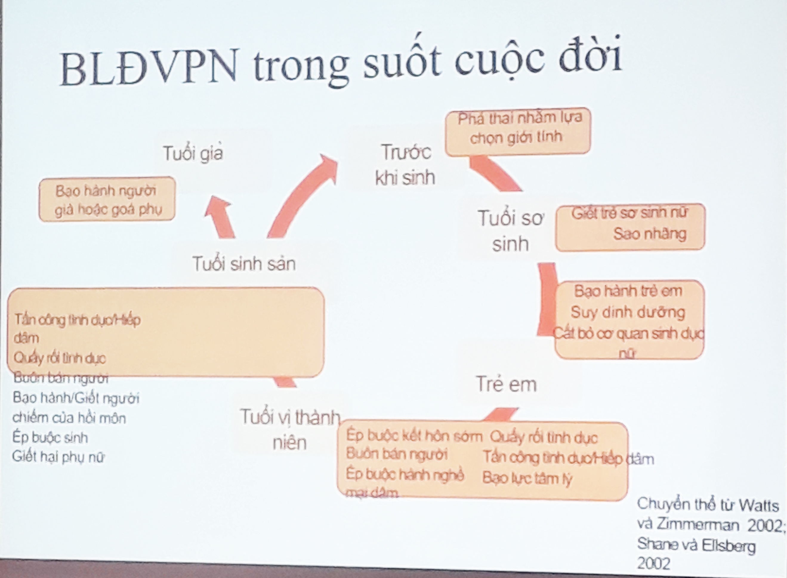 20190918-155814-01.jpeg