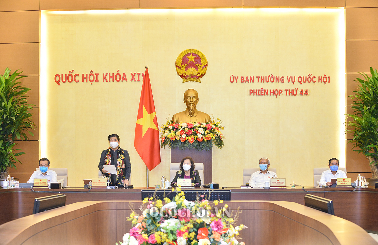 Phó-Chủ-tịch-Thường-trực-Quốc-hội-Tòng-Thị-Phóng---1--copy--1-_1.jpg