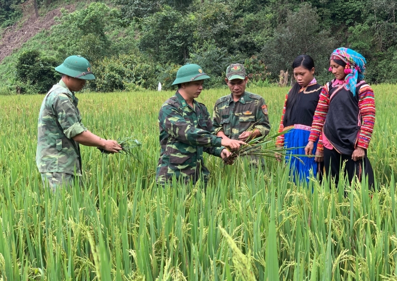 Hỗ trợ kinh phí thực hiện các dự án, mô hình giảm nghèo