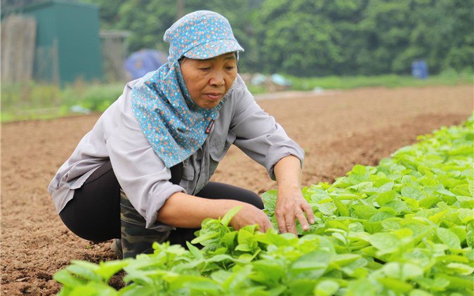 Mức vay vốn tạo việc làm sẽ tăng gấp đôi, từ ngày 8/11