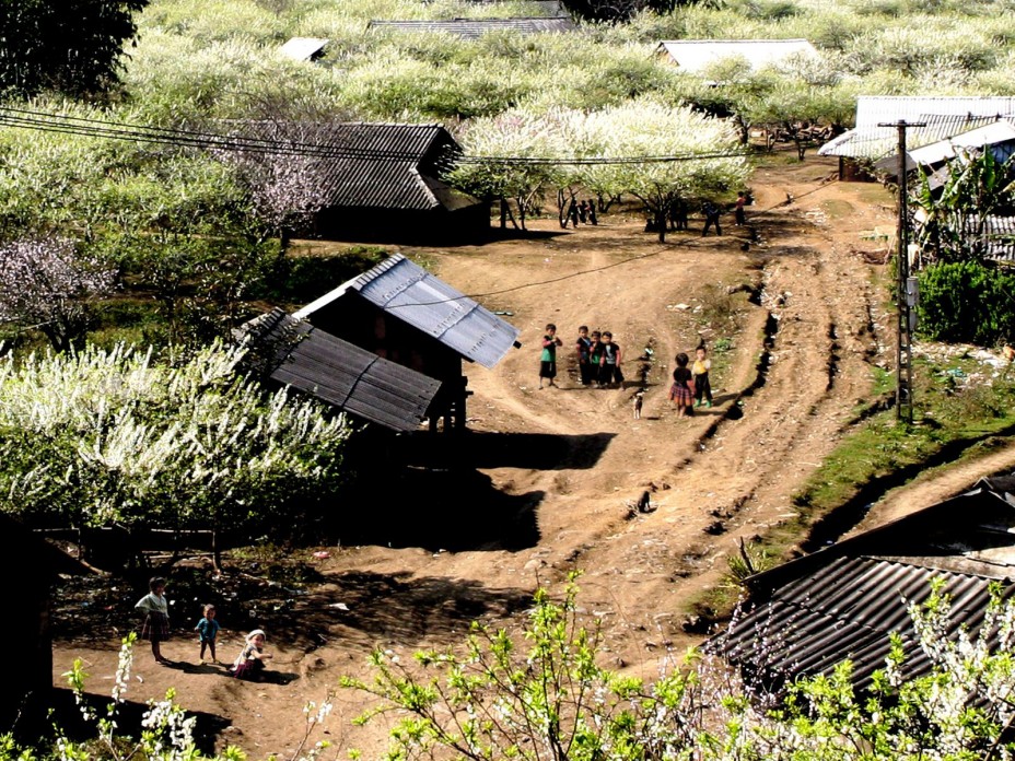 cao-nguyen-moc-chau-2.jpg
