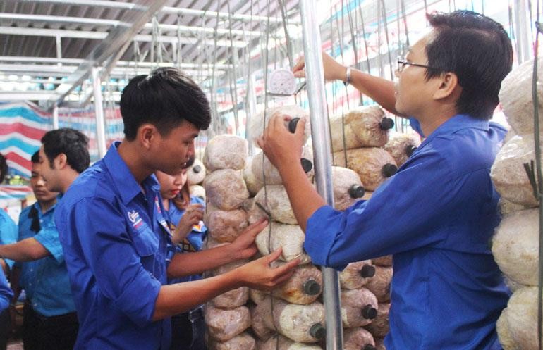Hỗ trợ thanh niên khởi nghiệp.