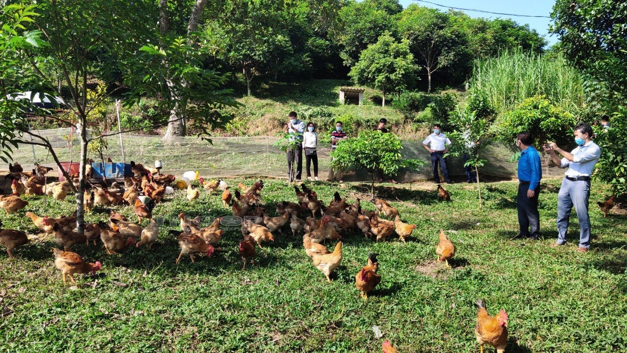 giảm nghèo bền vững Thái Nguyên 