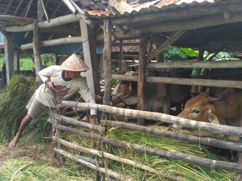 Cổng TTĐT Bộ Lao động- Thương binh và Xã hội 33_4.jpg