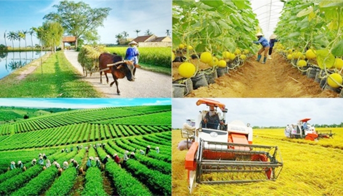 Tháo gỡ khó khăn, thúc đẩy triển khai thực hiện 3 chương trình mục tiêu quốc gia