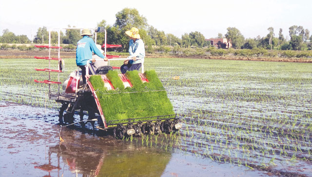 Long An lên kế hoạch cho Chương trình MTQG giảm nghèo bền vững giai đoạn 2021 -2025