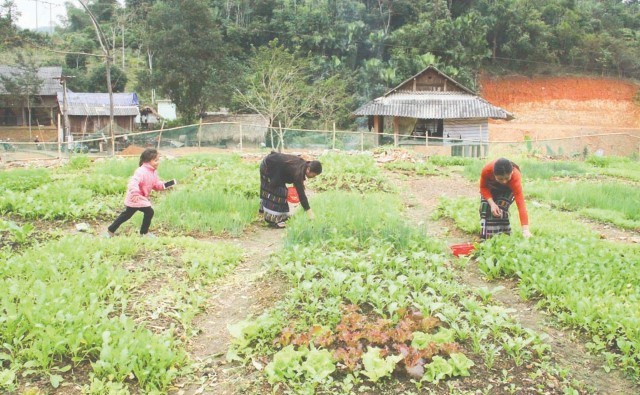 Du lịch chăm sóc sức khỏe Mảnh đất màu mỡ còn bỏ ngỏ ở Việt Nam Du lịch Vietnam VietnamPlus #29 Du lịch chăm sóc sức khỏe Mảnh đất màu mỡ còn bỏ ngỏ ở Việt Nam Du lịch Vietnam VietnamPlus
