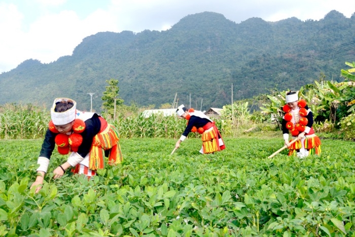 Giảm nghèo bao trùm, trọng tâm ưu tiên vùng “lõi nghèo