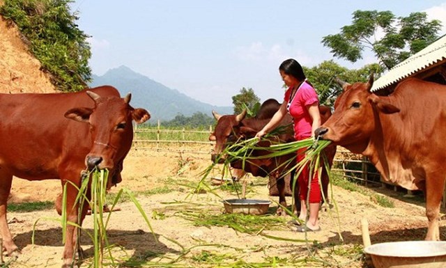 Thanh Hóa: Thực hiện có hiệu quả các chính sách giảm nghèo